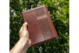 Біблія коричневого кольору з тисненням "Виноградна лоза". Чохол на замочку, золотий обріз та індекс пошуку книг